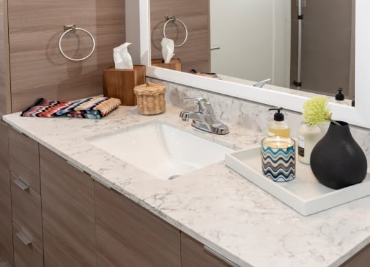 Bathroom Counter at Grove80 Apartments, Cottage Grove, 55016