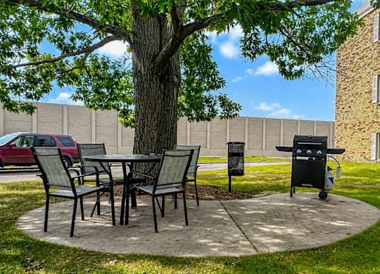 A tree in a yard with a table and chairs.