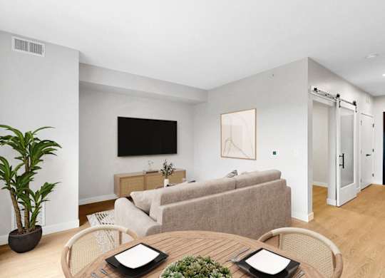 A living room with a couch, a television, and a potted plant.