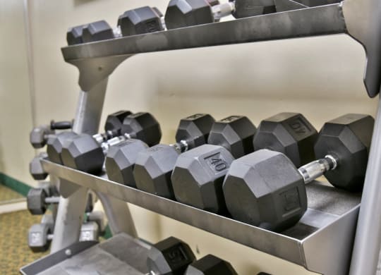 Free Weights In Gym at Hillsborough Apartments, Minnesota
