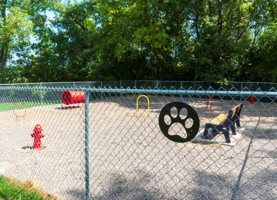 a dog standing next to a fire hydrant in a park