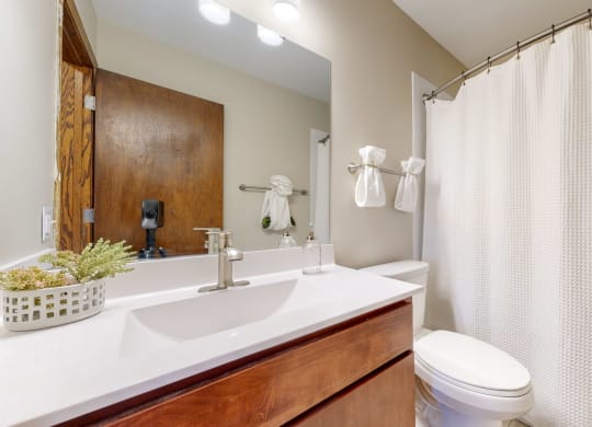a bathroom with a sink toilet and shower