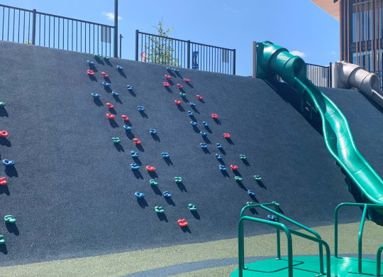 a climbing wall with colorful cups on it