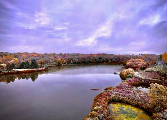 fall colors at lake jonathan flats