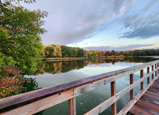 fall colors at lake jonathan flats