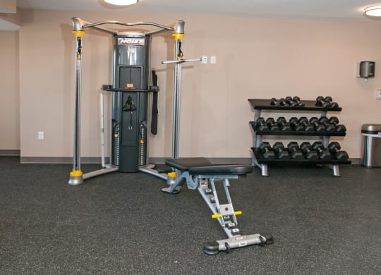 Workout Bench and Free Weights in Fitness Studio at Carver Crossing Apartments