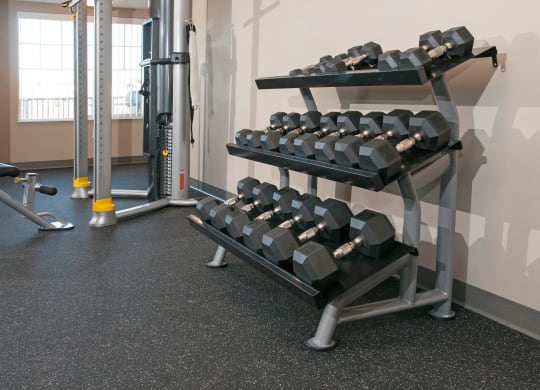 Free Weight Rack with Multiple Sizes of Weights in Fitness Studio of Carver Crossing
