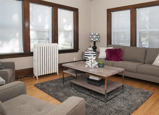 Breton Apartments in Minneapolis, MN Living Room