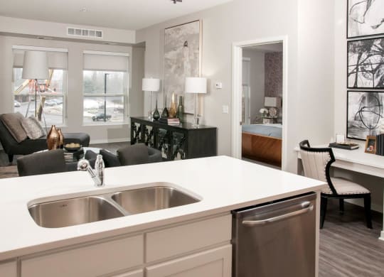 Double Stainless Steel Sink with Integrated Sprayer at Residences at 1700, Minnetonka, Minnesota