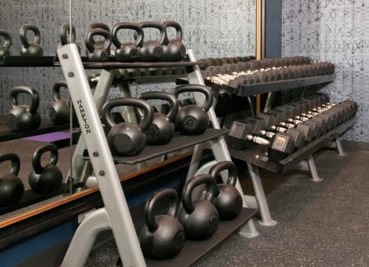 Fitness Center with Free Weights at Residences at 1700, Minnetonka, Minnesota