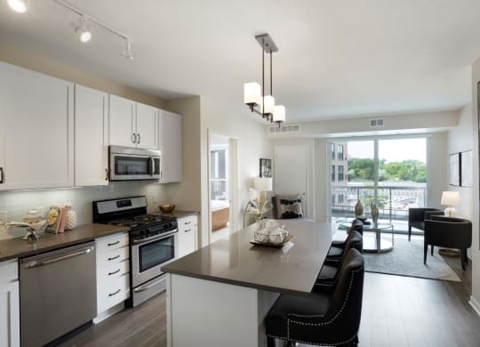 Modern Kitchen Gray Euro Style Cabinets at Residences at 1700, Minnetonka, MN