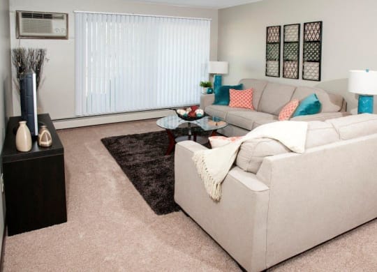 Beautiful Blinds at Shoreview Grand, Minnesota, 55126