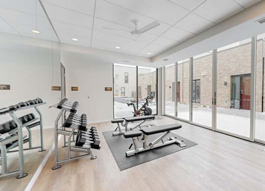 A gym with a variety of equipment including treadmills, weights, and a bench press.