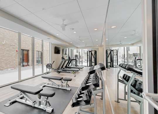 A gym with a row of treadmills and a row of weights.