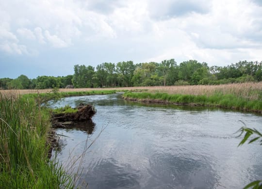 Breathtaking Lake-View at Overlook on the Creek, Minnetonka, 55305