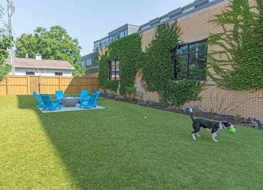 A dog is playing with a ball in a yard.