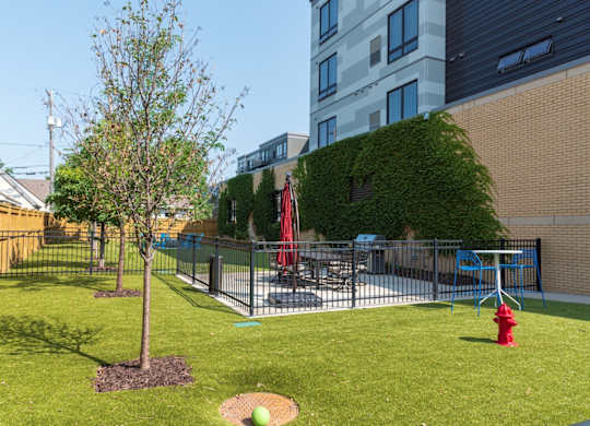 A tree in a yard with a red swing set.
