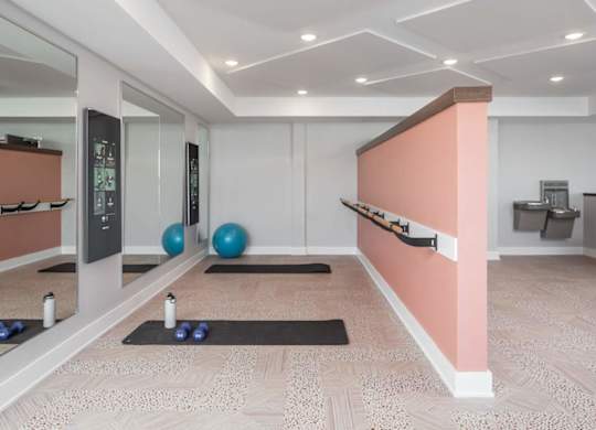 A room with a mirror, exercise balls, and yoga mats.at The Edison at Maple Grove, Maple Grove, 55311