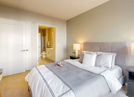 a bedroom with a large bed and a closet