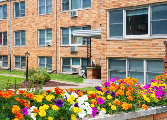 flowers and entry