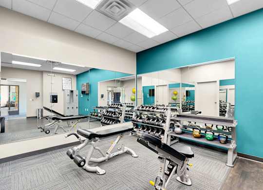 A gym with a blue wall and a mirror on the left side.