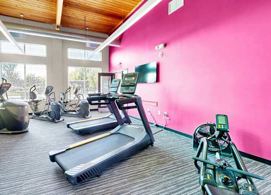 A gym with a variety of equipment including treadmills, stationary bikes, and weights.