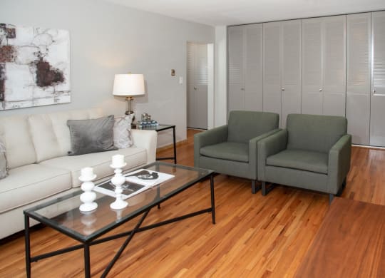 model living room with tons of closet space