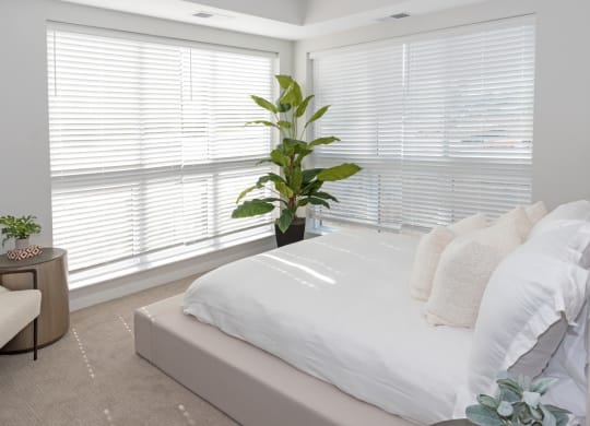 a bedroom with large windows and a large potted plant in the corner of the room