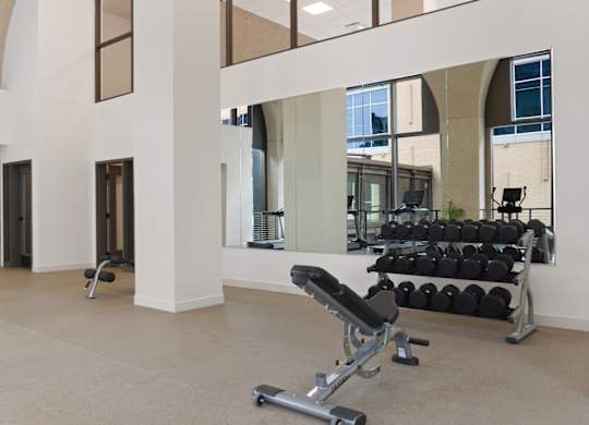 A gym with a row of black weights and a bench.