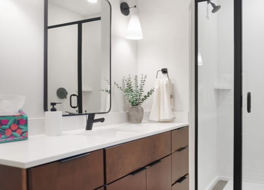 A bathroom with a white countertop and a mirror above it.
