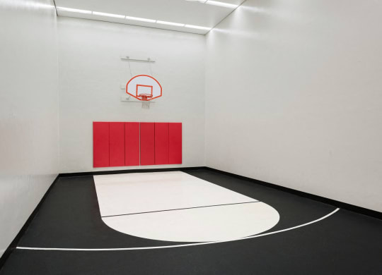 Basketball Court at The Tarnhill, Bloomington, MN, 55437