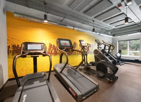 the gym is equipped with treadmills and exercise equipment