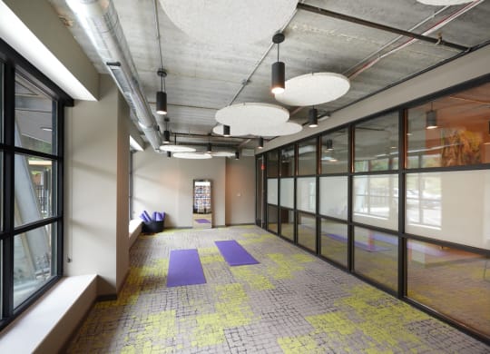a large room with windows and a purple carpet in the middle