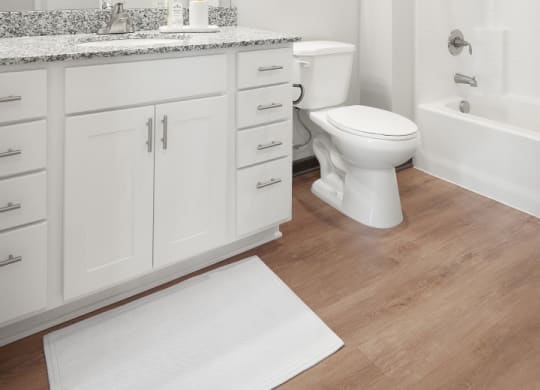 a bathroom with a shower toilet and sink and a mirror