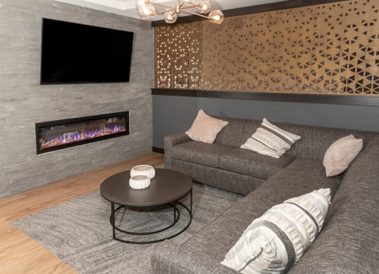 Lounge With TV at The Exchange Apartments, New Brighton Minnesota