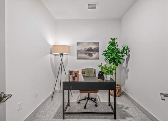 A room with a desk, chair, lamp, and a plant.