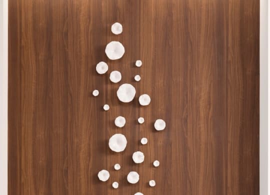 Wall Decor in Lobby Area at The Hill Apartments, Minnesota