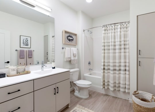 Master Bathroom With Large Vanity Area  at The Hill Apartments, Saint Paul, 55102