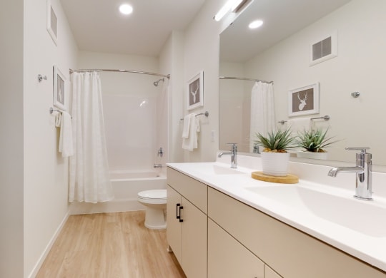 Luxurious Bathroom at The Hill Apartments, Minnesota, 55102