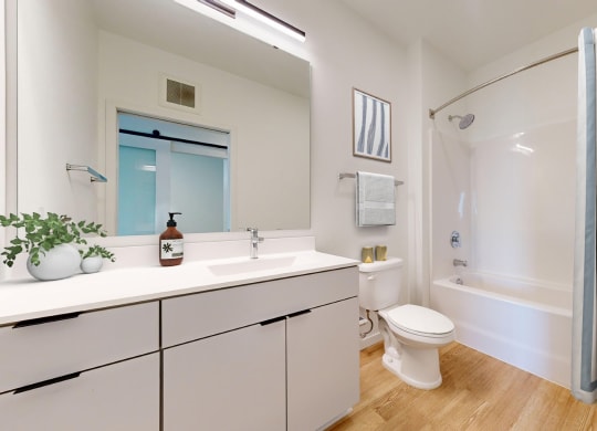 a bathroom with a sink and a toilet and a shower at The Mason, St. Paul, 55114