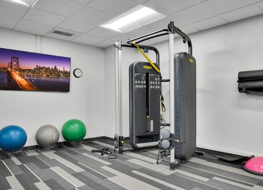 the collection 527 flexible gym space with exercise equipment