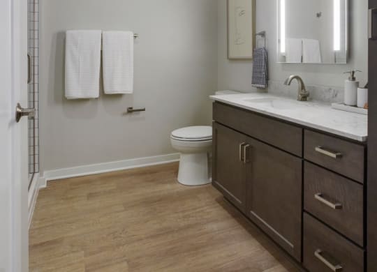 a bathroom with gray walls and a wooden floor