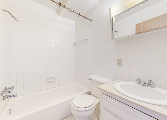 a bathroom with a sink toilet and bathtub
