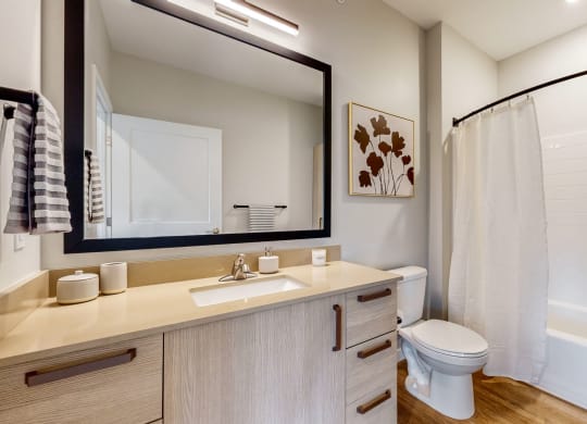 a bathroom with a mirror and a toilet and a shower