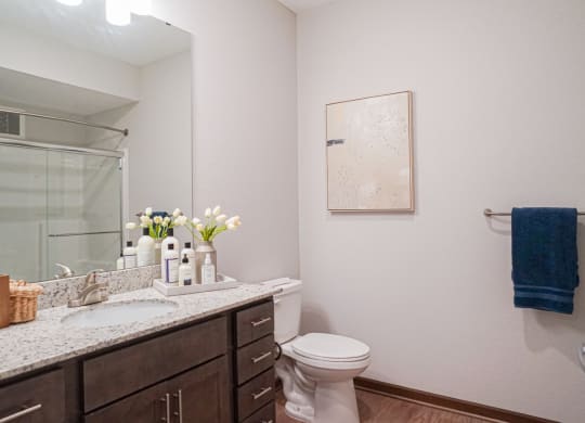 a bathroom with a toilet sink and mirror at The Yards and Backyards, Minnesota, 55075