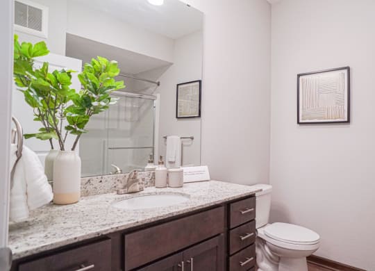 a bathroom with a toilet sink and mirror at The Yards and Backyards, Saint Paul, Minnesota  55075