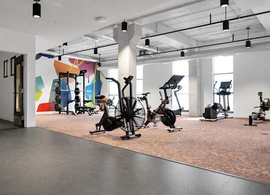 A gym with a variety of exercise equipment.