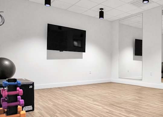 A room with a television, mirror, and exercise equipment.