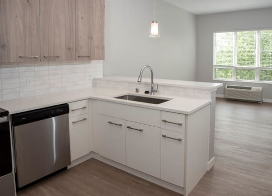 Nordic kitchen and living room view - spacious at Urban Park I and II Apartments, Minnesota