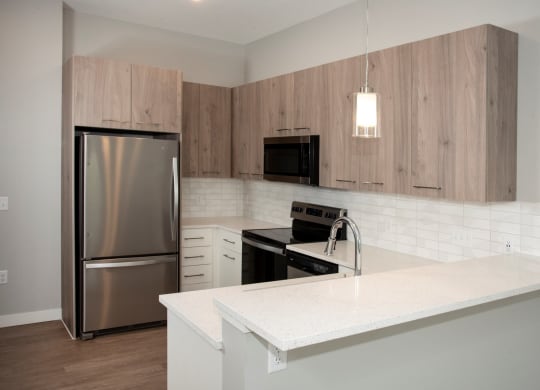 Urban Park II - Nordic Studio at Urban Park I and II Apartments, St Louis Park